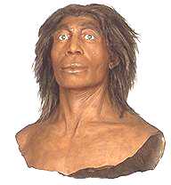 Homem de Neandertal